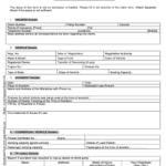 Car Insurance Form Pdf PdfFiller