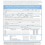 Car Travel Interruption Claim Form AAA