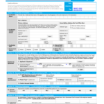 Citibank Form Travel Card Fill Online Printable Fillable Blank