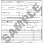 Cms 1500 Claim Form Worksheet