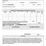 Fillable Dependent Care Fsa Claim Form Printable Pdf Download