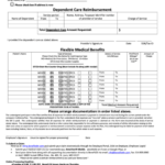 Fillable Fsa Claim Form Printable Pdf Download