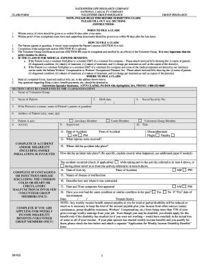 Fillable Online Apa Site Visitor Information Form American 