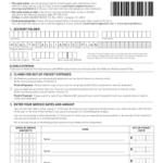 Fillable Online WageWorks Healthcare Pay Me Back Claim Form State Of