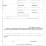 Fillable Petition Small Claims Court Printable Pdf Download Gambaran