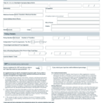 Fillable Travel Insurance Claim Form Loss Of Income Budget Direct