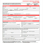 FREE 11 Medical Expense Forms In PDF MS Word