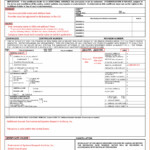 Free Acord Form 25 Fillable Form Resume Examples a6Yn8ewJ2B