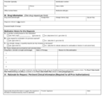 Free Minnesota Medicaid Prior Rx Authorization Form PDF EForms