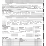 Health Insurance Tpa Preauth Form Pdf