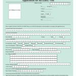 Ie Re Entry Visa Fill Online Printable Fillable Blank PdfFiller