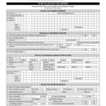 India Claim Form Fill Online Printable Fillable Blank PdfFiller