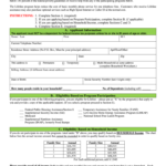 Lifeline Florida Form Fill And Sign Printable Template Online US