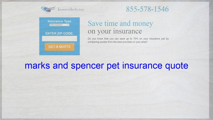 Marks And Spencer Pet Insurance Quote Marks And Spencers