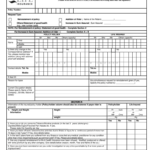 Max Life Declaration Fill Out And Sign Printable PDF Template SignNow