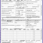 Medicaid Claim Form 1500 Form Resume Examples