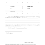 Montana Complaint Fill Out Sign Online DocHub