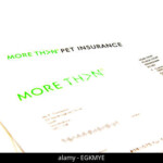 More Than Pet Insurance Claim Form Policy Letter Logo Letterhead Cutout