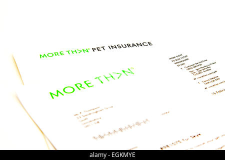 More Than Pet Insurance Claim Form Policy Letter Logo Letterhead Cutout 