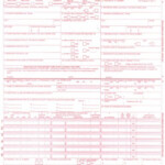 New CMS 1500 Insurance Claim Forms HCFA Version 02 12 1 CASE 2500