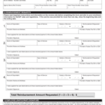 Nyc Flexible Spending Claim Form 2020 Fill And Sign Printable