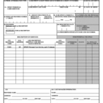 PA 14 Form Louisiana Medicaid Fill And Sign Printable Template Online