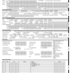 Paramount Preauth Form Fill Online Printable Fillable Blank