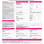 Pet Insurance Claim Form Templates PdfFiller