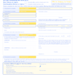 Pet Insurance Claim Form Templates PdfFiller