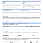 Petcare Pet Insurance Claim Form Craftekdesign