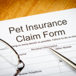 Pumpkin Pet Insurance Review 2022 Coverage Cost More