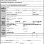 Small Claims Court Broward County Florida Forms Form Resume