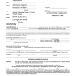 Small Claims Court Henderson Nv Fill Online Printable Fillable