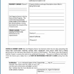 Small Claims Forms For Broward County Florida Form Resume Examples