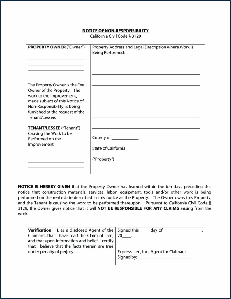 Small Claims Forms For Broward County Florida Form Resume Examples 