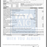 Tata Aig Travel Insurance Insurance