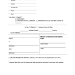 Top 7 Motion To Dismiss Form Templates Free To Download In PDF Format