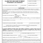 VA Form 29 4125 Fill Out Sign Online And Download Fillable PDF