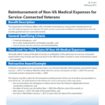 Va Prescription Reimbursement Form Fill Out And Sign Printable PDF