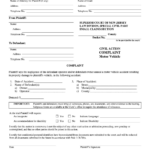 Buffalo Small Claims Court Application Form Printable Printable Forms