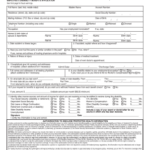 Fillable Online American Fidelity Claim Form Fax Email Print PdfFiller