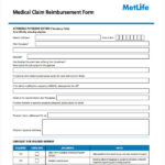 FREE 8 Medical Reimbursement Forms In PDF