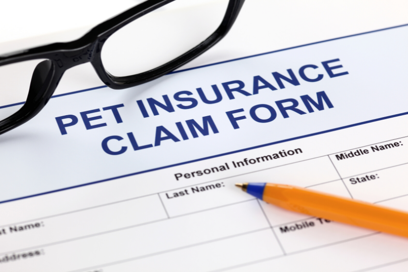 Hartville Pet Insurance Review Updated 2023 