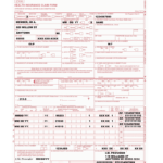 Health Insurance Claim Form Example Fill Online Printable Fillable