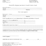 Texas Plaintiff 39 s Original Petition In Small Claims Court Form Fill