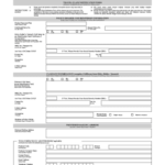 Travel Claim Form AIG my Fill And Sign Printable Template Online