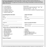 Wellcare Provider Medicaid Payment Dispute Form Fill Online